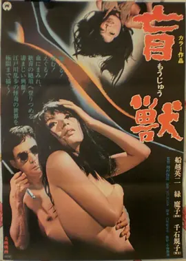 候鸟计划纪录片高清在线观看